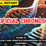 Artificial chromosomes
