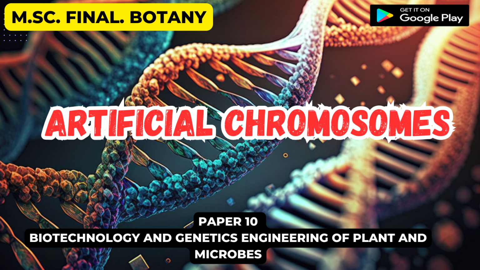 Artificial chromosomes