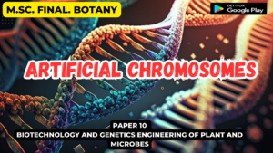 Read more about the article Artificial chromosomes