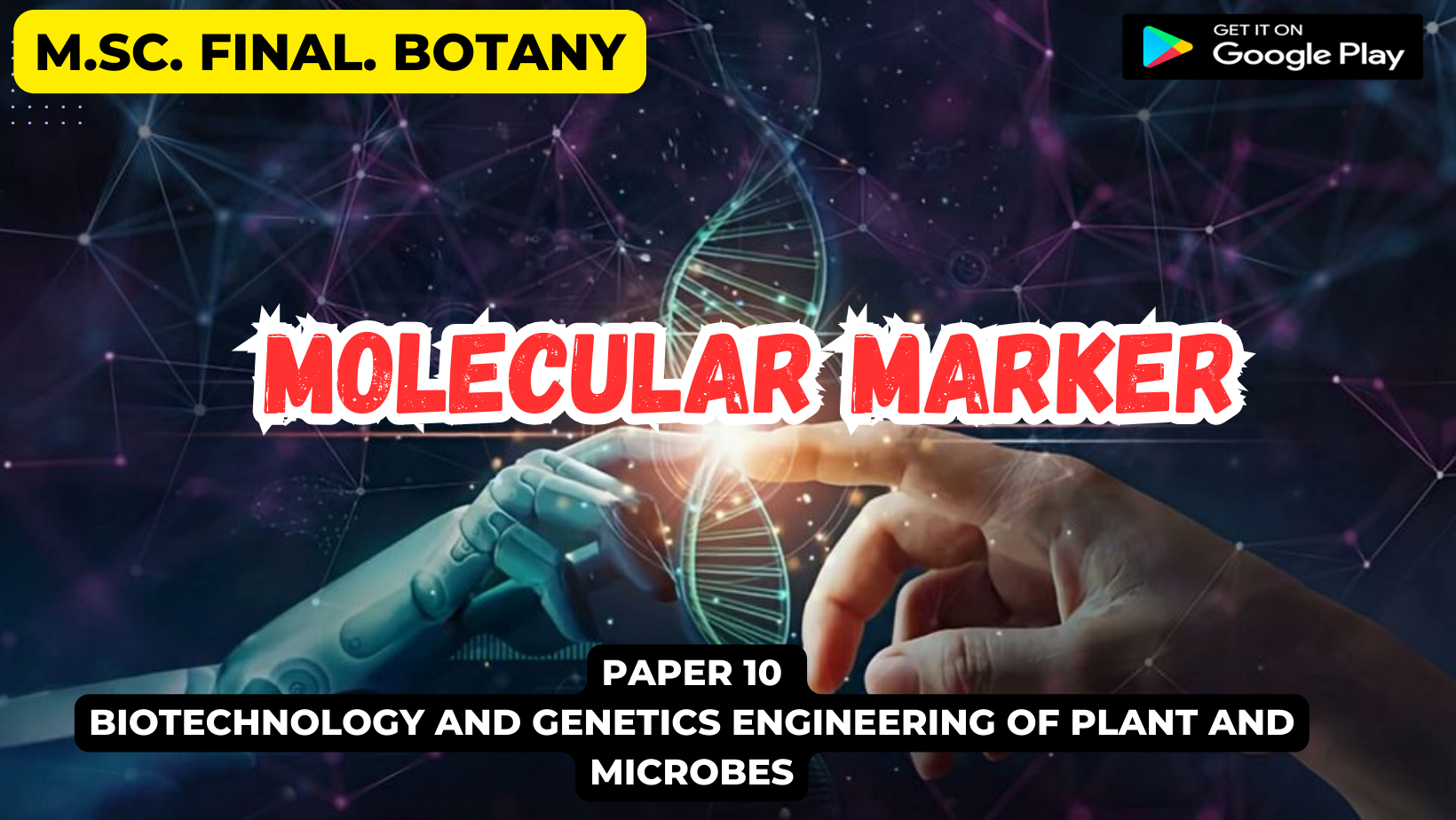 Read more about the article Molecular Marker