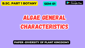 Read more about the article Algae General Characteristics