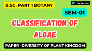Read more about the article Classification of Algae