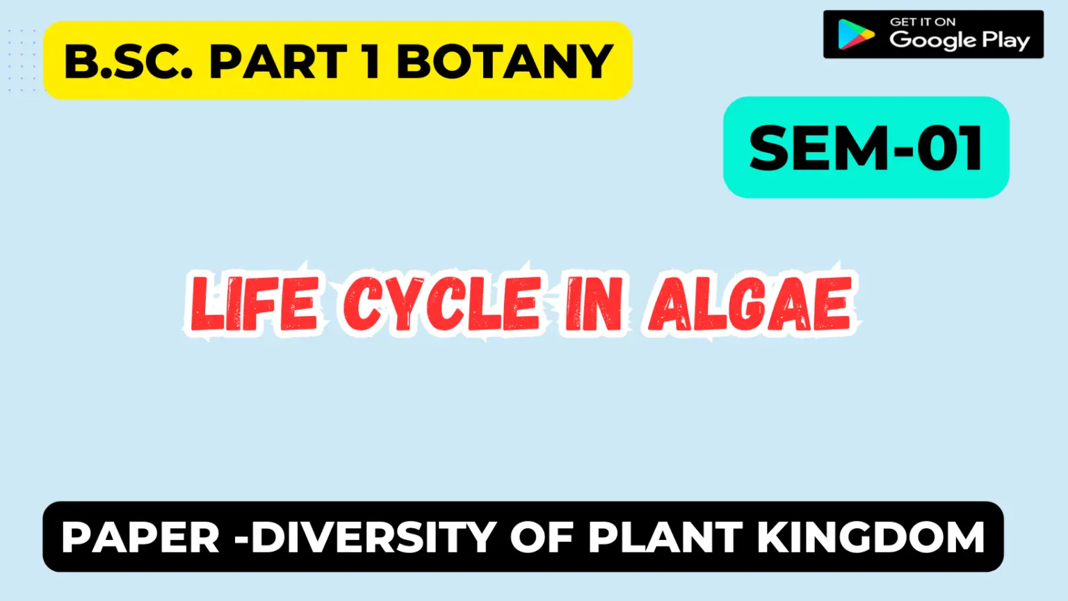 Life cycle in algae