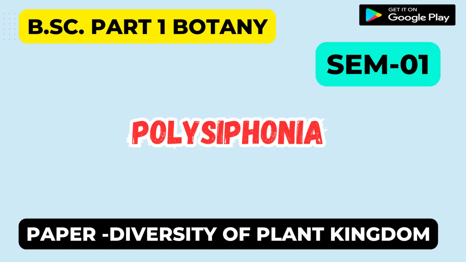 Polysiphonia