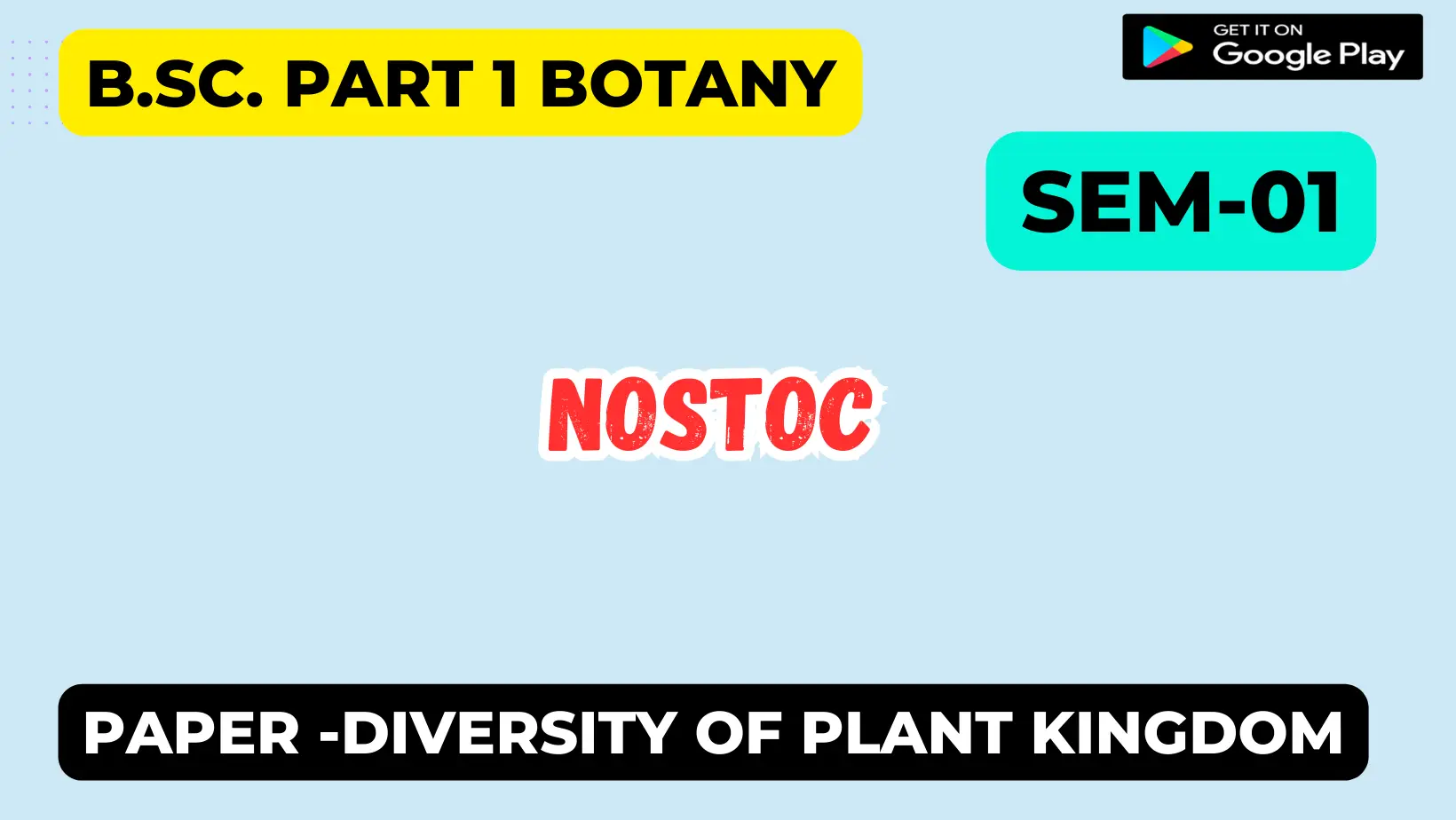Read more about the article Nostoc
