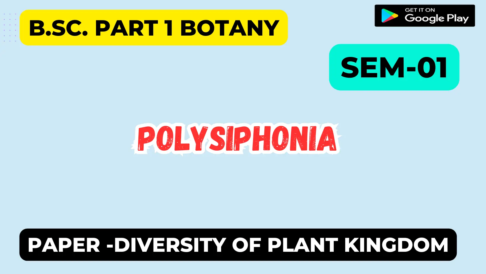 Read more about the article Polysiphonia